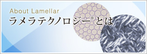 乾燥肌 アンチエイジング ラミナーゼ